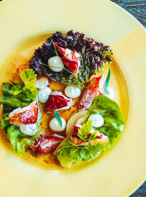 Port Isaac Lobster Salad on a yellow plate