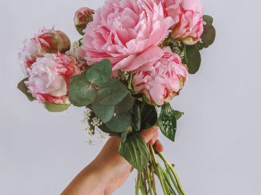 A bouquet of pink peonies held up against a white wall
