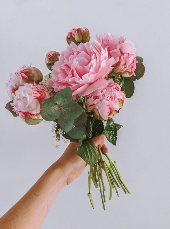 A bouquet of pink peonies held up against a white wall